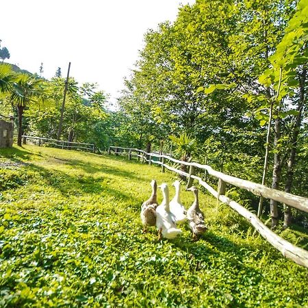 Oasis Gasamania Hotel Batumi Bagian luar foto